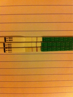 ImageUploadedByBV Forum1412089529.956649.jpg