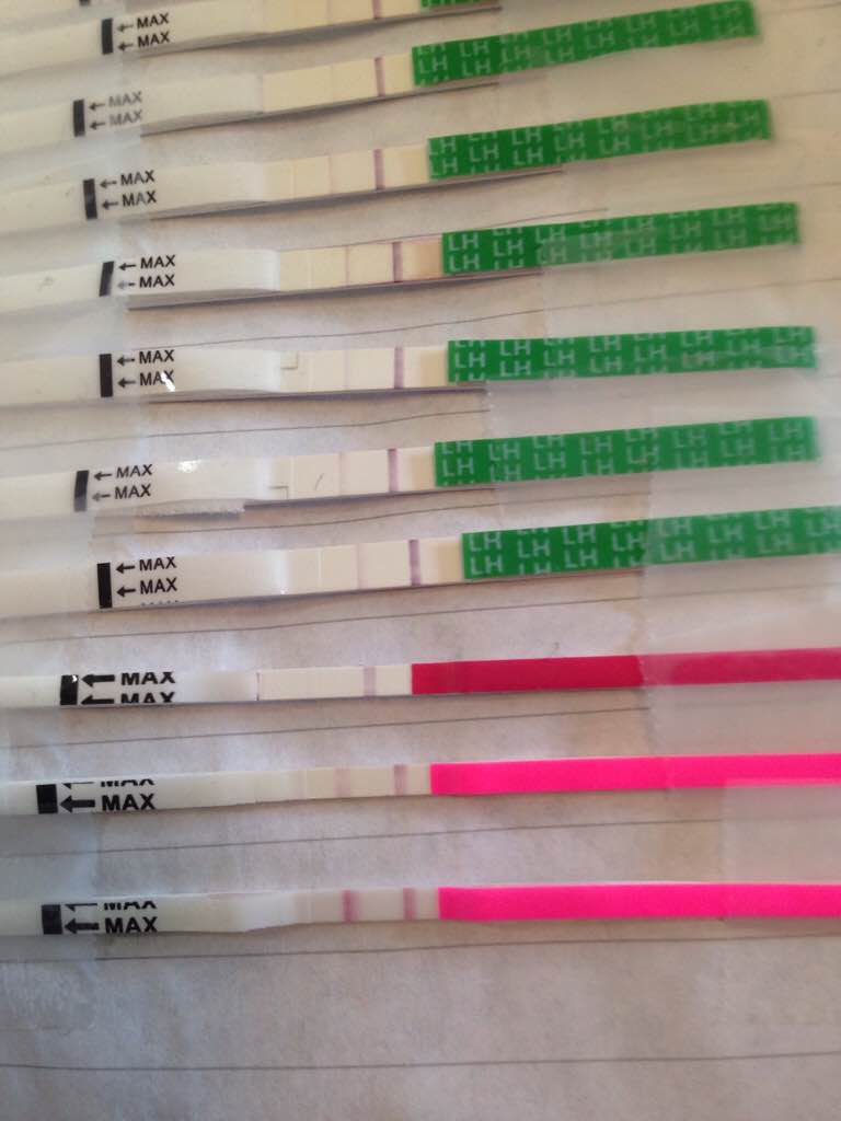 ImageUploadedByBV Forum1412850784.458646.jpg