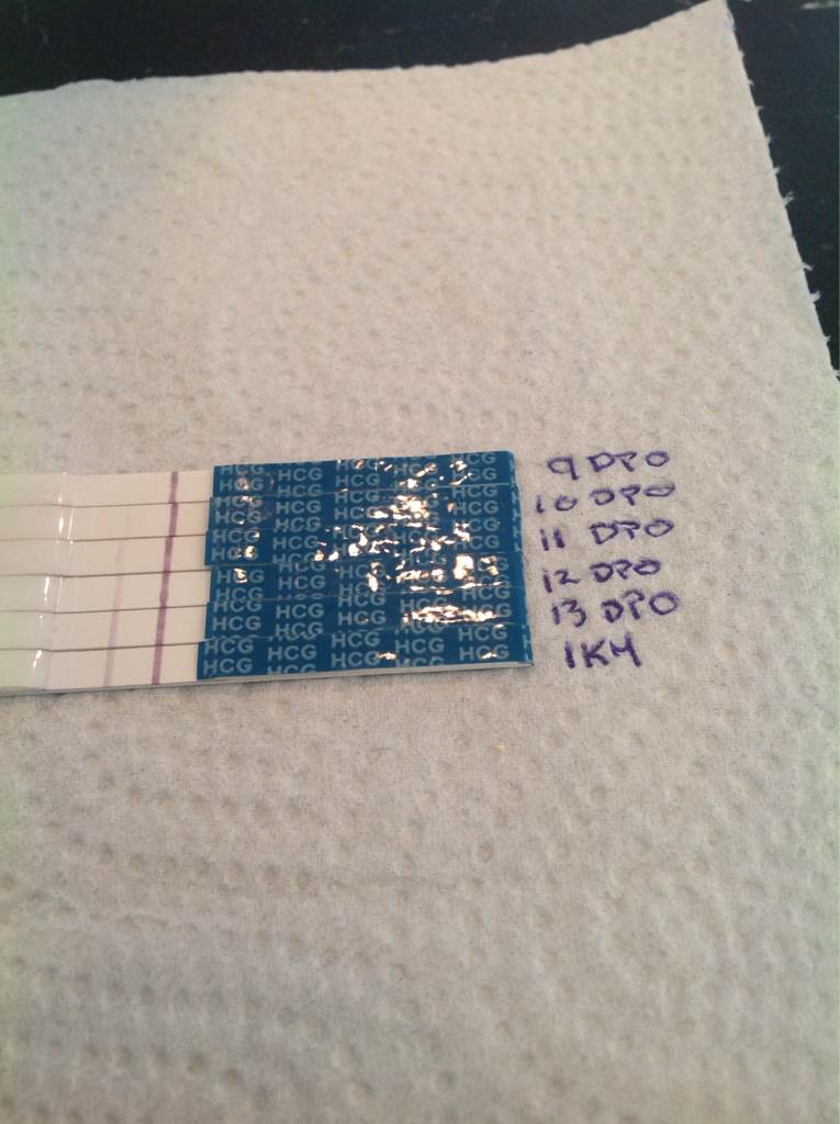 ImageUploadedByBV Forum1413190289.819227.jpg