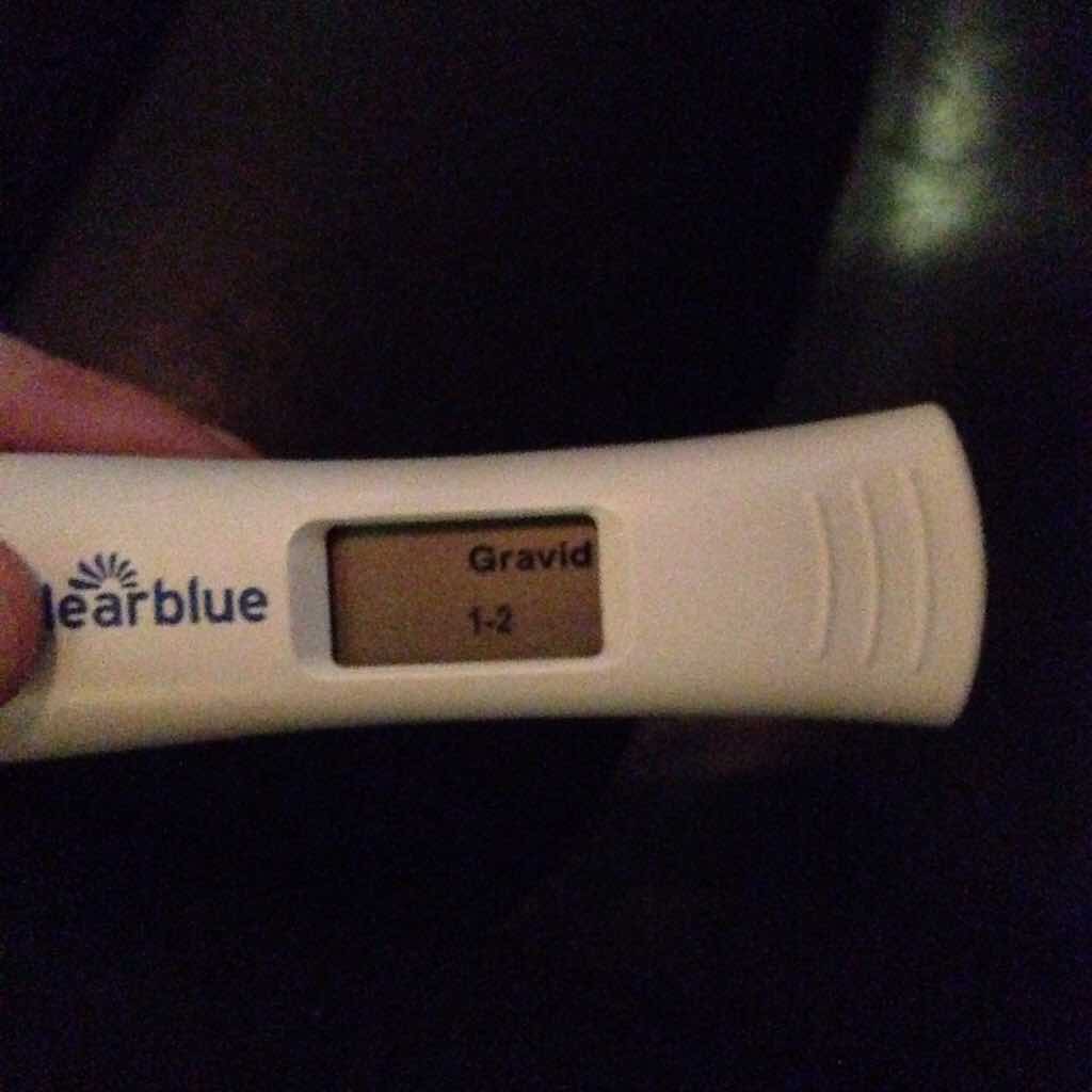 ImageUploadedByBV Forum1413382886.325124.jpg