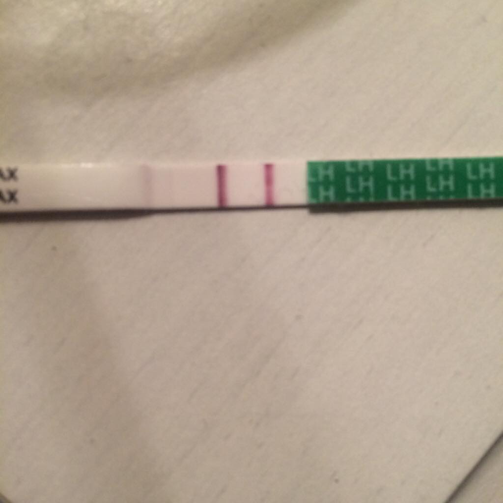 ImageUploadedByBV Forum1419590942.175495.jpg