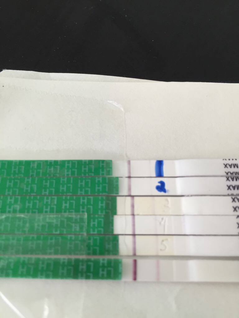 ImageUploadedByBV Forum1424093429.595084.jpg