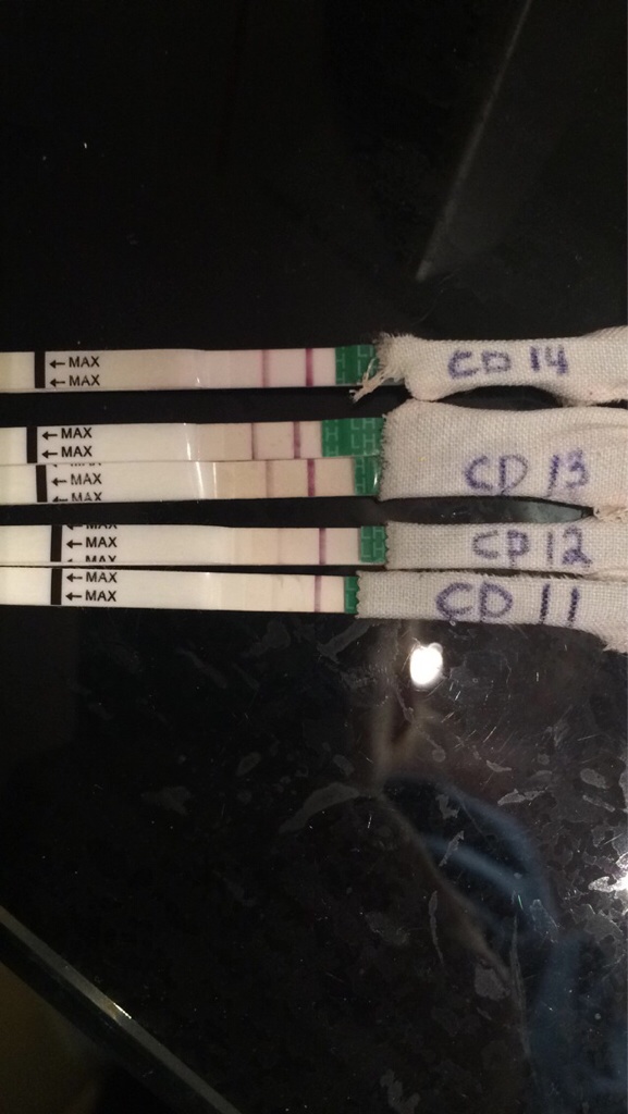 ImageUploadedByBV Forum1424196559.316337.jpg