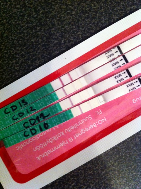 ImageUploadedByBV Forum1424415320.020886.jpg