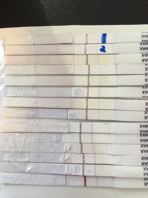 ImageUploadedByBV Forum1424619244.941183.jpg