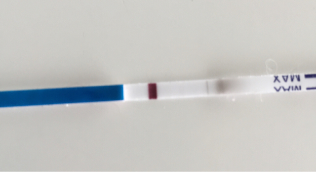 ImageUploadedByBV Forum1424944478.221046.jpg