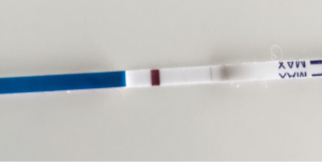 ImageUploadedByBV Forum1424948376.700276.jpg