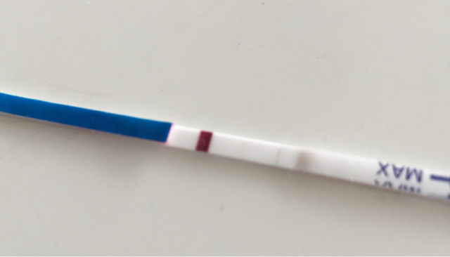 ImageUploadedByBV Forum1425028257.986343.jpg