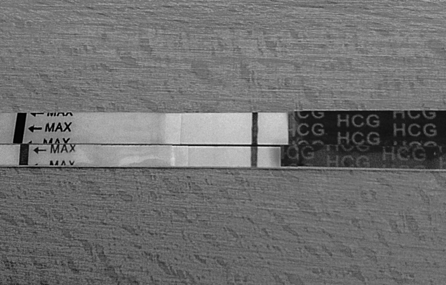 ImageUploadedByBV Forum1425386651.950794.jpg