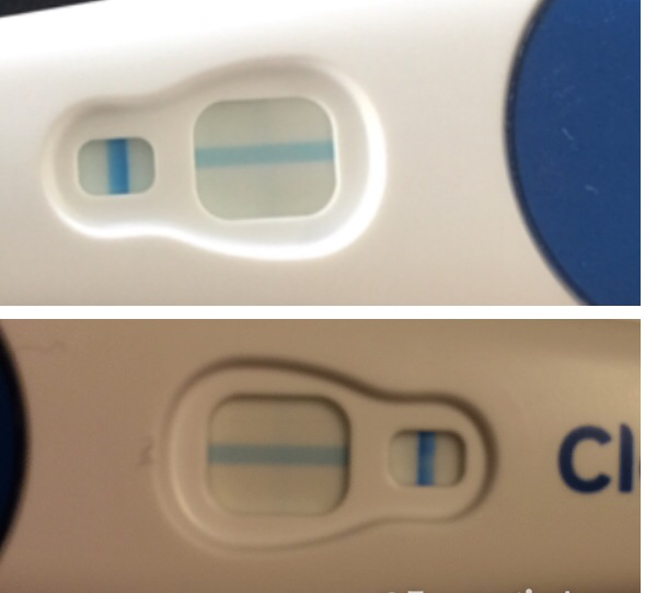 ImageUploadedByBV Forum1425401682.578576.jpg