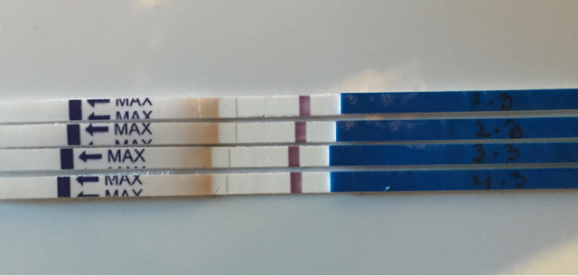 ImageUploadedByBV Forum1425574174.518429.jpg