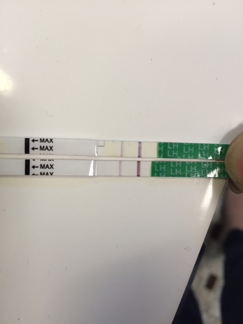 ImageUploadedByBV Forum1426084146.752171.jpg