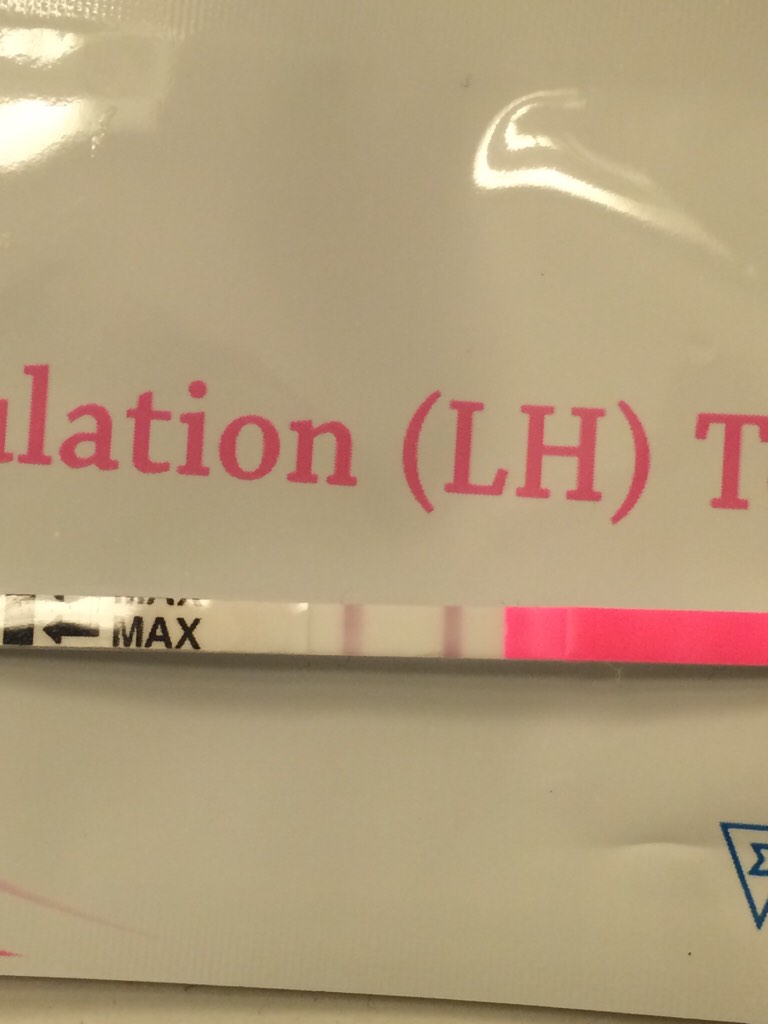 ImageUploadedByBV Forum1427285096.356156.jpg