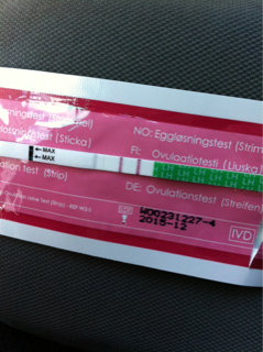 ImageUploadedByBV Forum1428147806.189467.jpg