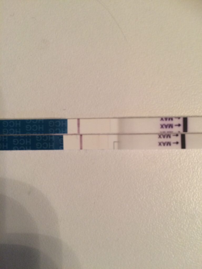 ImageUploadedByBV Forum1428557291.965675.jpg