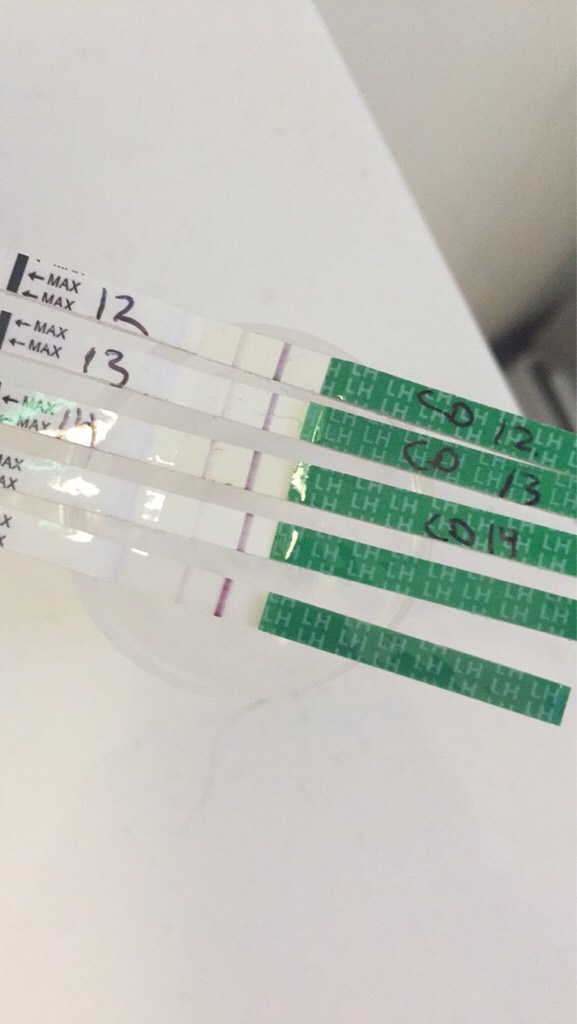 ImageUploadedByBV Forum1433938321.243826.jpg