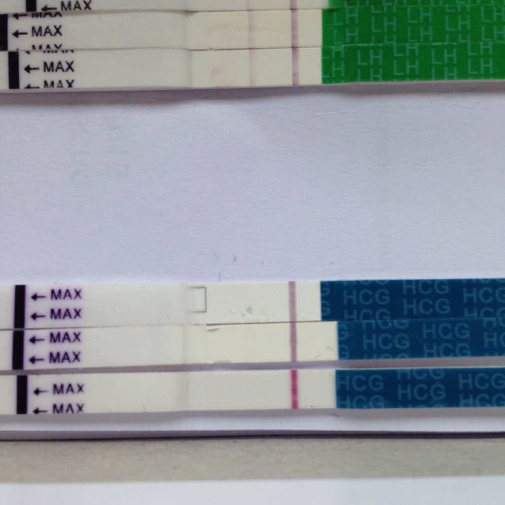 ImageUploadedByBV Forum1434466600.140503.jpg