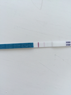 ImageUploadedByBV Forum1435381099.031541.jpg