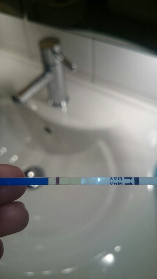 ImageUploadedByBV Forum1436732794.553084.jpg