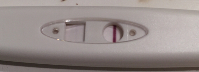 ImageUploadedByBV Forum1436825461.573385.jpg