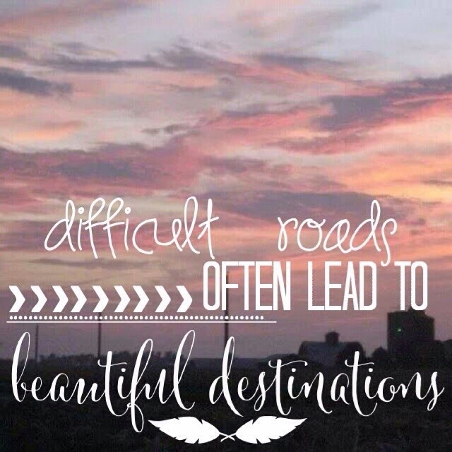 ImageUploadedByBV Forum1438425118.804853.jpg