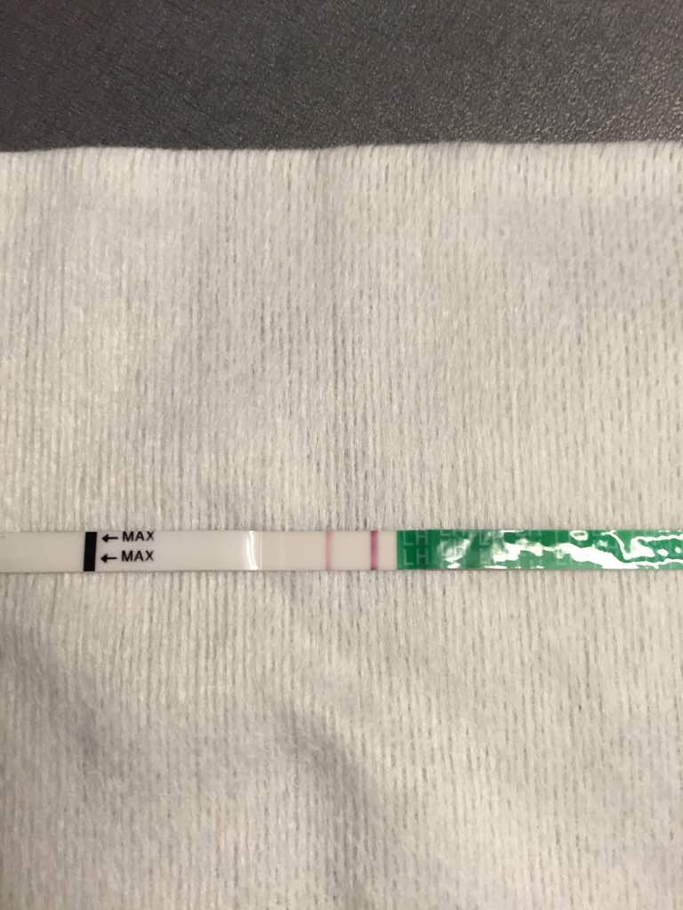 ImageUploadedByBV Forum1440315259.655654.jpg