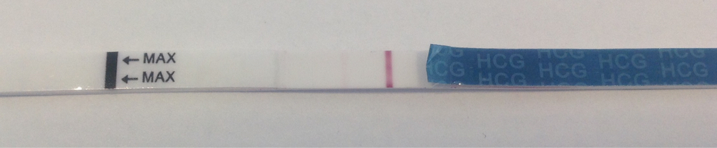 ImageUploadedByBV Forum1441280392.449773.jpg