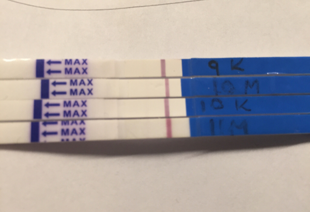 ImageUploadedByBV Forum1443676708.714995.jpg