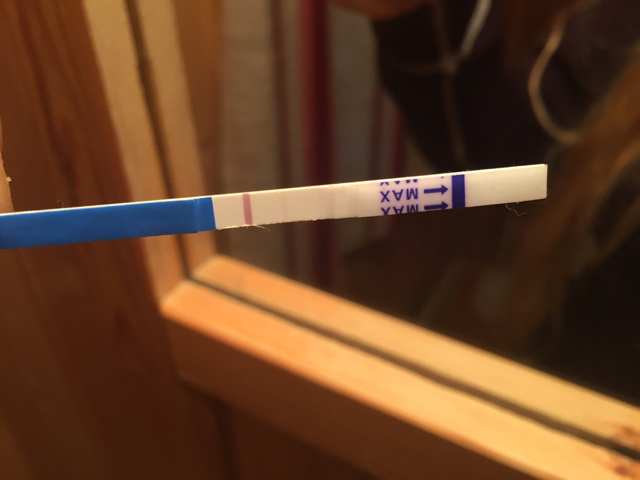 ImageUploadedByBV Forum1443765272.514141.jpg