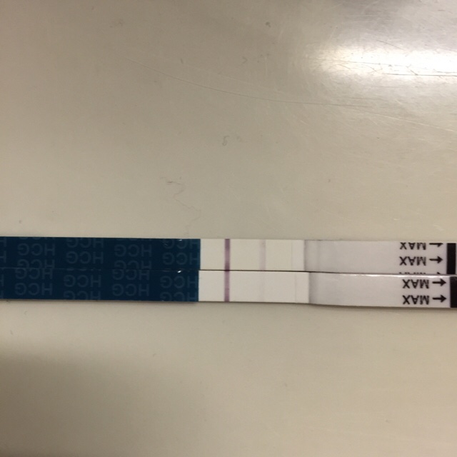 ImageUploadedByBV Forum1443801131.036417.jpg