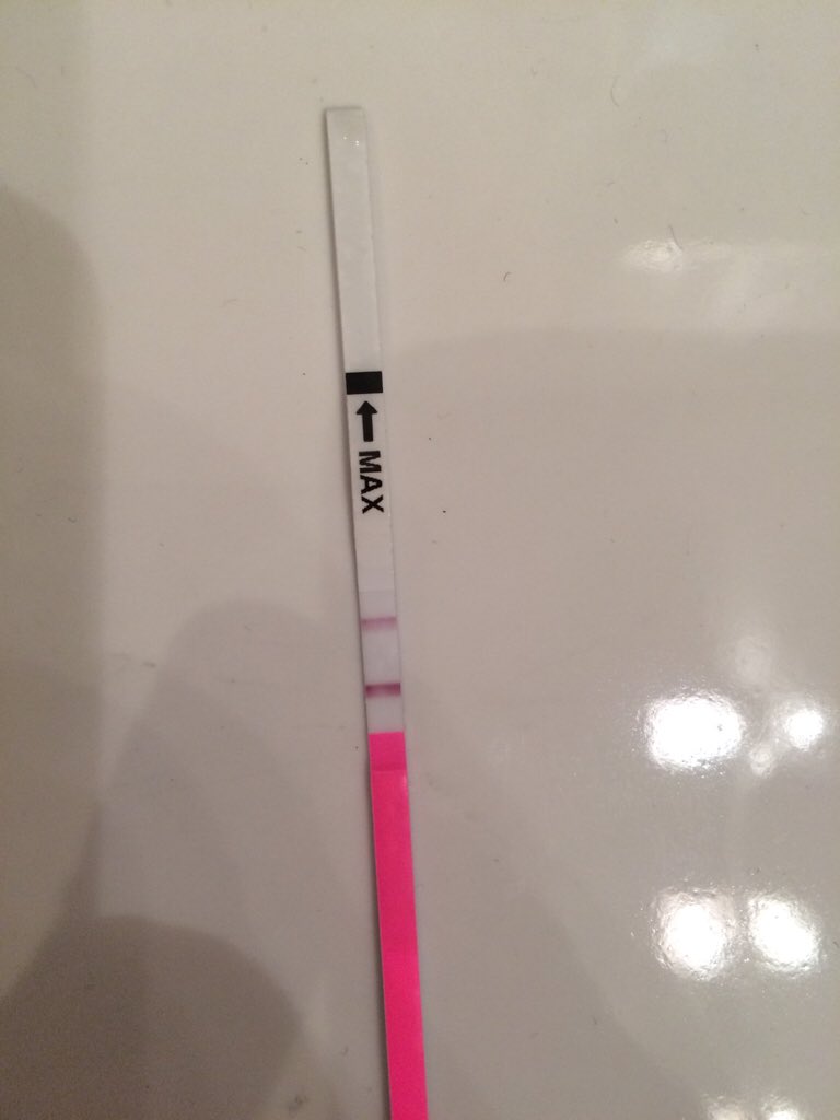 ImageUploadedByBV Forum1444684933.246900.jpg