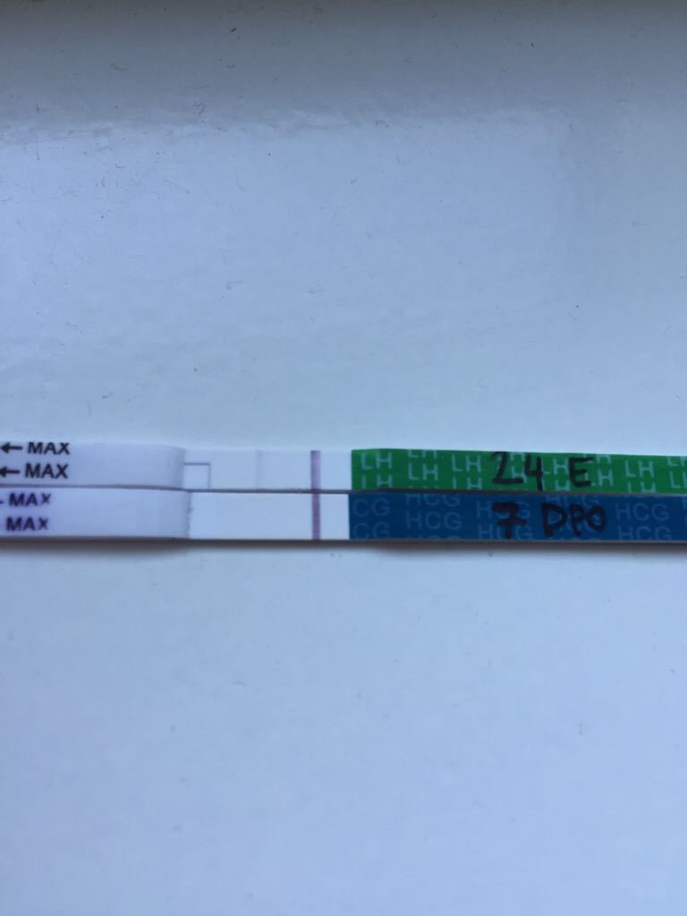 ImageUploadedByBV Forum1444929123.762546.jpg