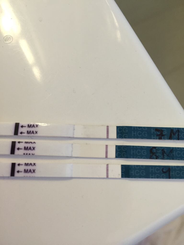 ImageUploadedByBV Forum1445080871.054017.jpg