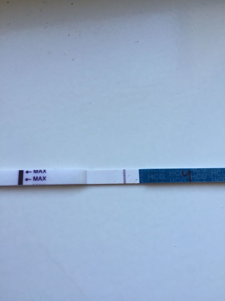 ImageUploadedByBV Forum1445080891.449179.jpg