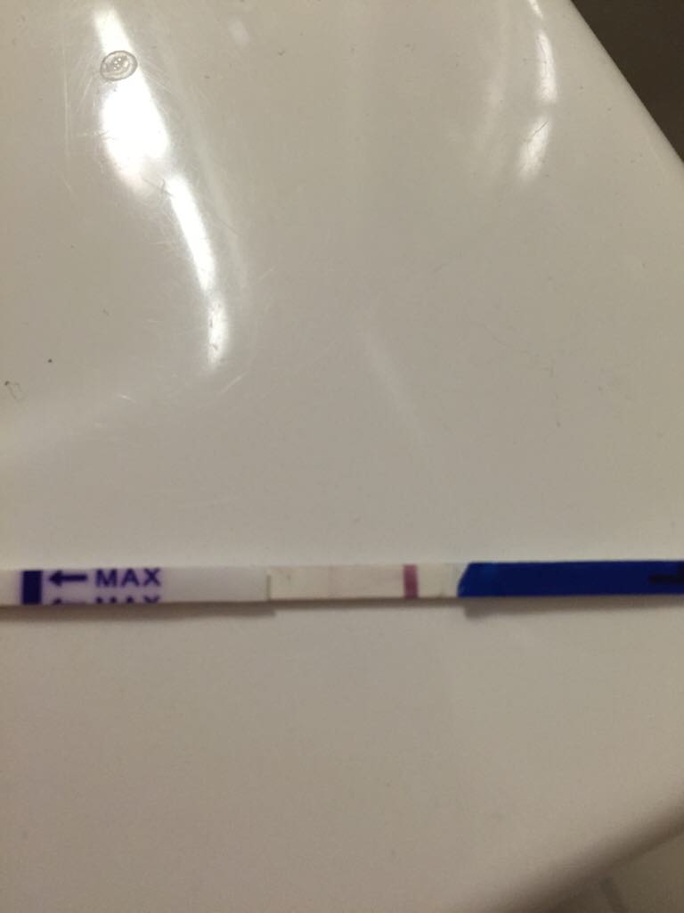 ImageUploadedByBV Forum1445117684.138164.jpg