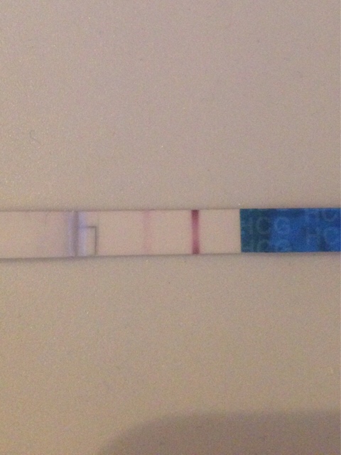 ImageUploadedByBV Forum1447773675.829356.jpg