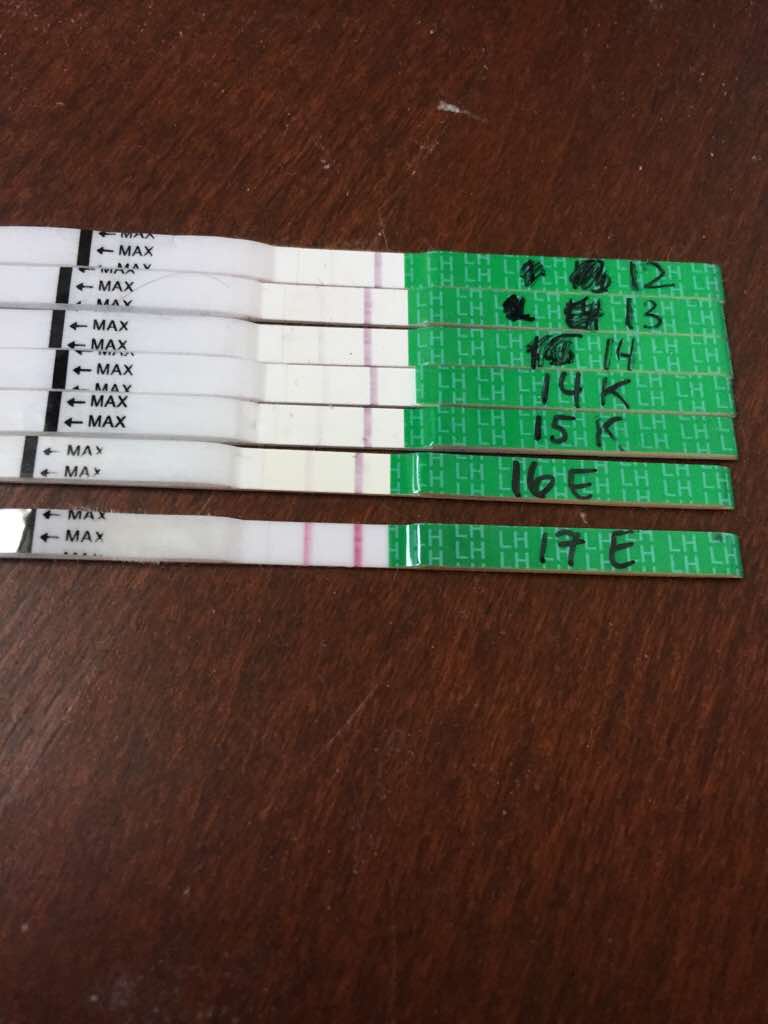 ImageUploadedByBV Forum1448971778.899277.jpg