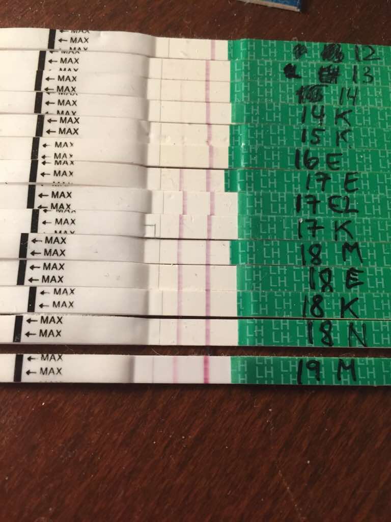 ImageUploadedByBV Forum1449124189.864913.jpg