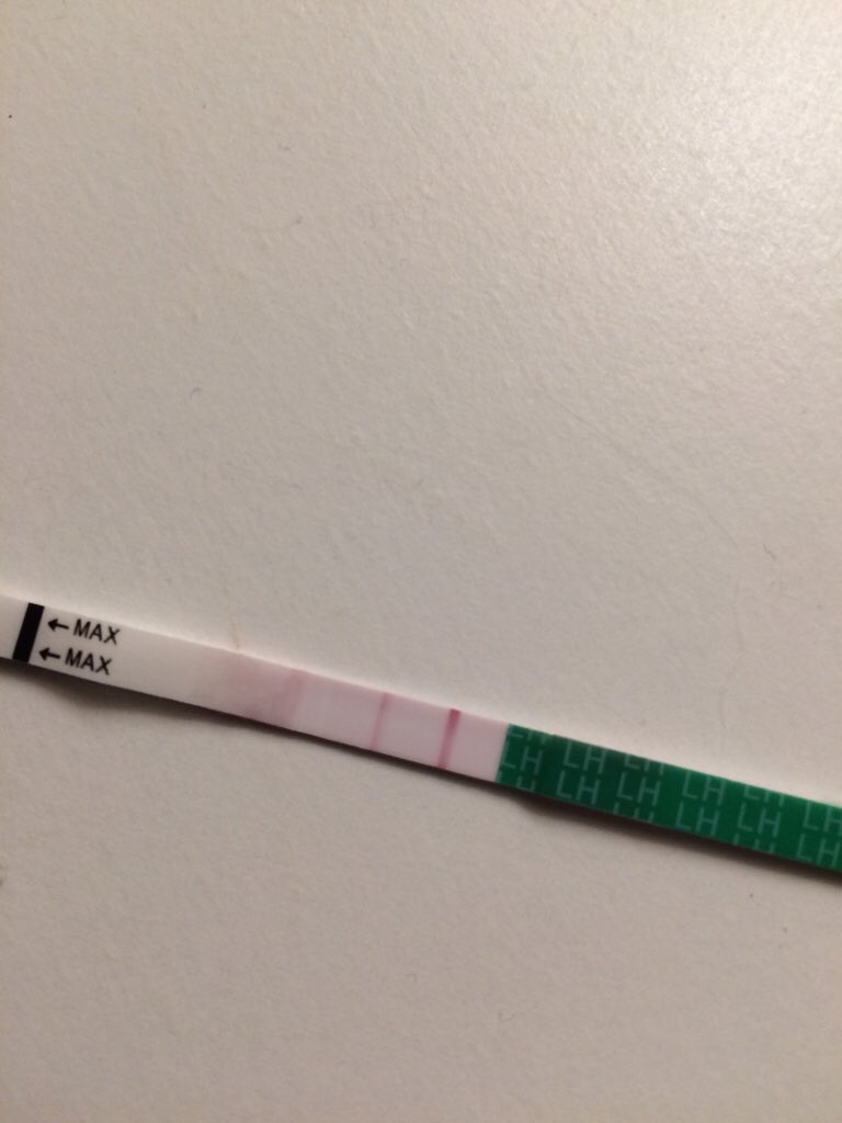 ImageUploadedByBV Forum1449247001.160125.jpg