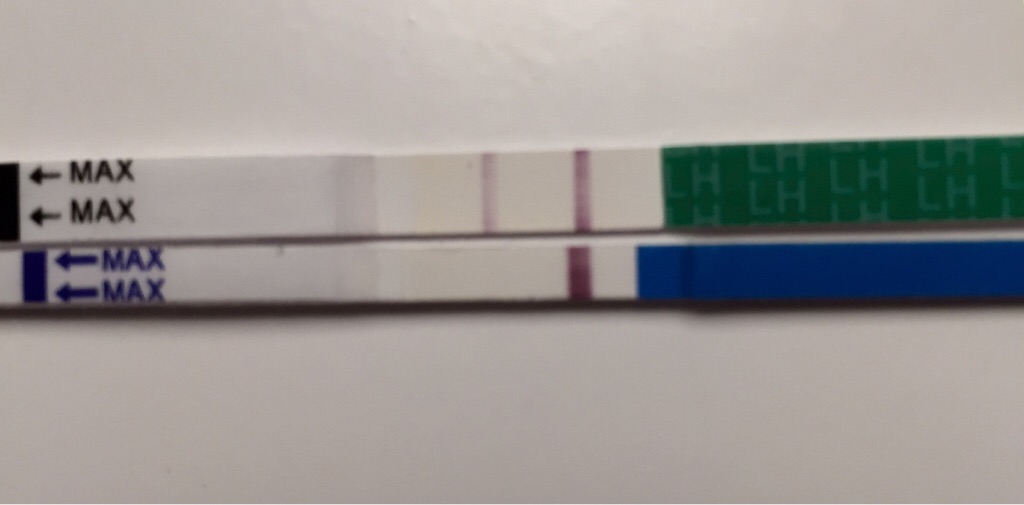 ImageUploadedByBV Forum1449511097.301393.jpg