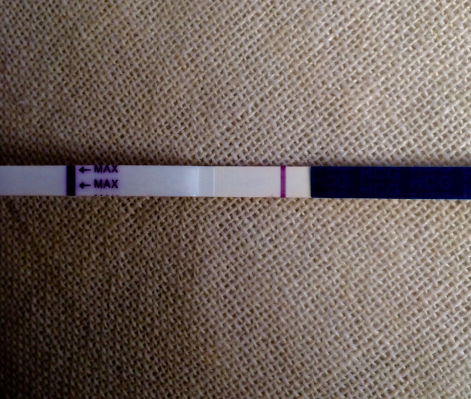 ImageUploadedByBV Forum1449744045.317405.jpg