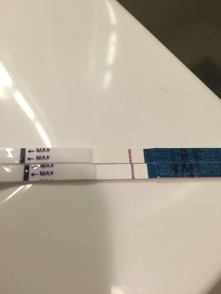 ImageUploadedByBV Forum1449828464.040129.jpg