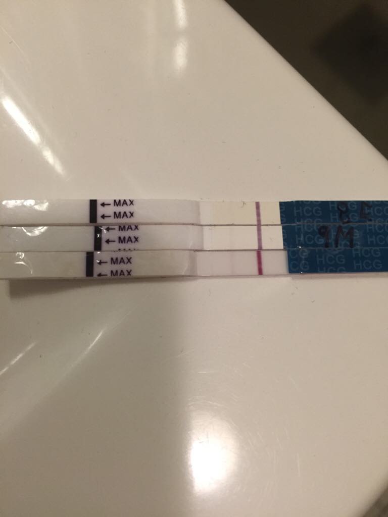 ImageUploadedByBV Forum1449856339.263917.jpg