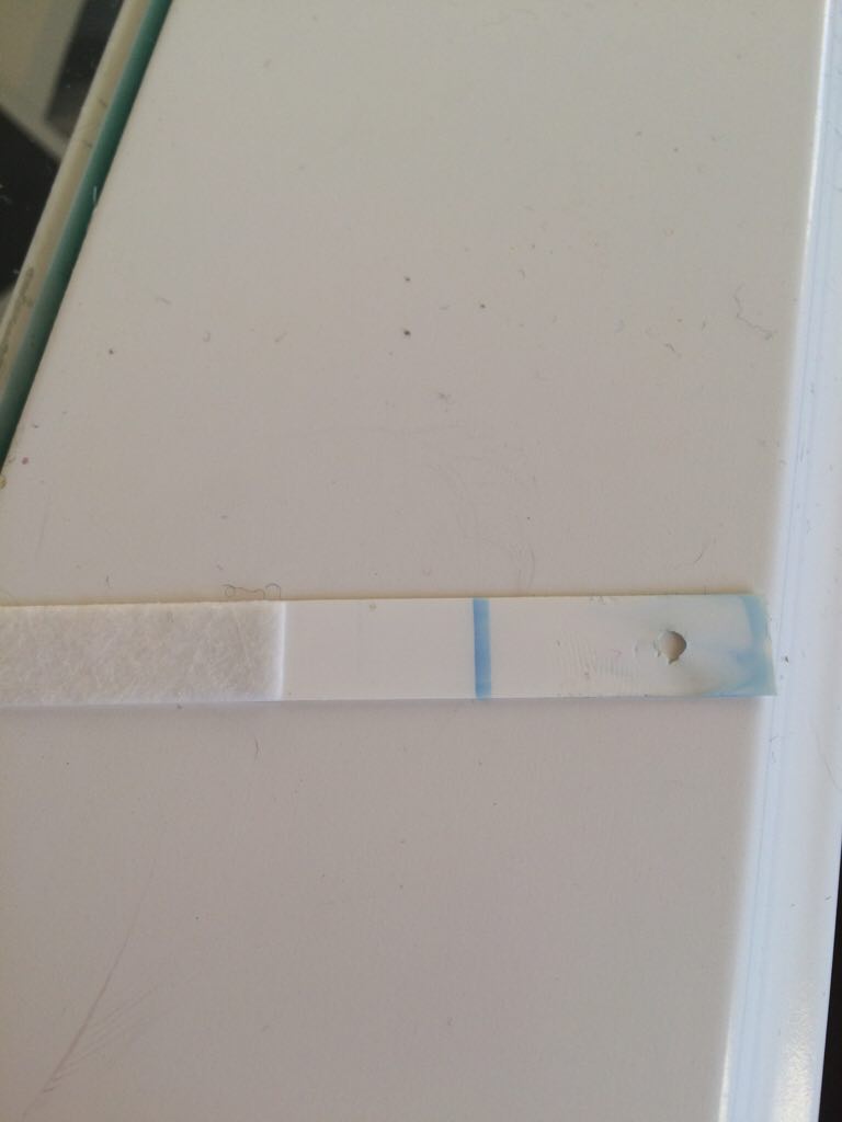 ImageUploadedByBV Forum1450012025.650922.jpg