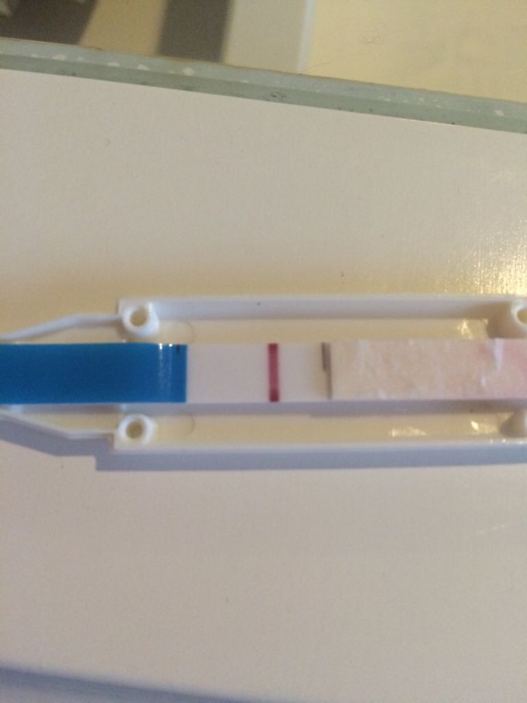 ImageUploadedByBV Forum1450166542.192967.jpg