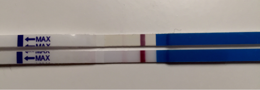 ImageUploadedByBV Forum1450190144.142650.jpg