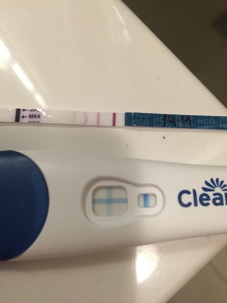 ImageUploadedByBV Forum1450245674.921195.jpg