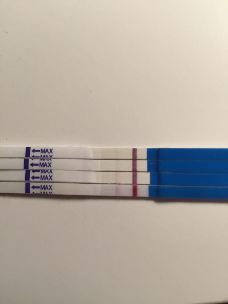 ImageUploadedByBV Forum1450377566.370889.jpg