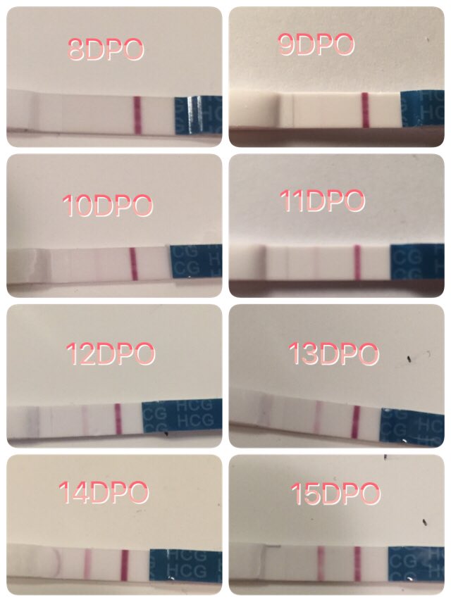 ImageUploadedByBV Forum1450384657.117665.jpg