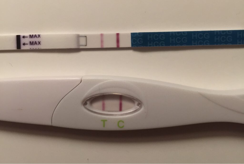 ImageUploadedByBV Forum1450448475.670419.jpg